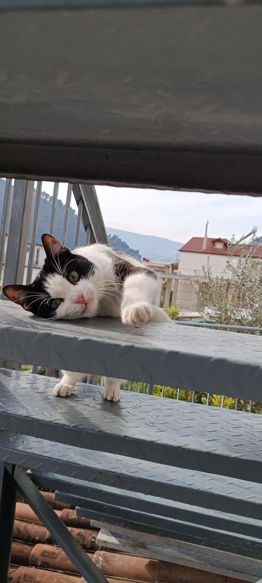 Guesthouse Eva Suite Berat Kültér fotó